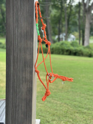 Bitless Training Halter - Image 7