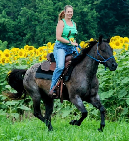 Katie riding her blue roan, porter on a trail near sunflower fields.