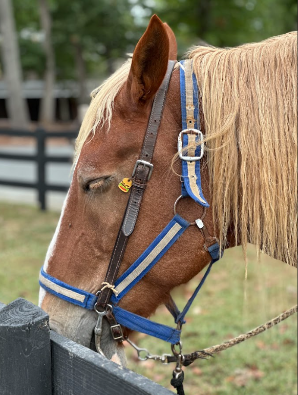 overcrowded tack setup example